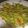 Cooksnap dari Maryam Jameelah untuk resep Edamame Tumis Lada Garam - Spicy Garlic Fry Edamame