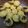 Cooksnap dari Alice Kitchen untuk resep Kue cubit