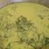 Cooksnap dari Bunda Nathan Adams untuk resep Lontong Gulai Pakis / Paku