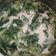 Cooksnap dari Sabrina El Muzed untuk resep Bobor Bayam