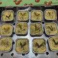 Cooksnap dari Candy untuk resep Carang Gesing Pisang Kepok