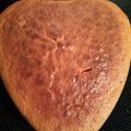 صورة من سوزان شوقي 💖💟، شاركها بعد تجربة وصفة كيكة الجزر