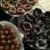 صورة من سوزان شوقي 💖💟، شاركها بعد تجربة وصفة طريقة عمل دونات 🍩☕