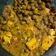 Abhilasha Singh का कुकस्नैप जब उन्होंने मटर पनीर (matar paneer recipe in Hindi) बनाया था।