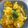 Cooksnap dari Tiara Dwiputri untuk resep Thai Style Oyster Omelette (Hoi Tod)