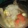 Cooksnap dari dian pratiwi untuk resep 3#Mie Shirataki Kuah Kaldu