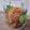 Cooksnap dari Sari Aprilliani untuk resep SUBWAY soft chocohip cookies