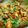 Zainab Khan's cooksnap of when they made Chicken karahi.