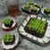 Cooksnap dari anisatur raehan untuk resep Fudgy Brownies Glowing [tanpa mixer]