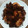 Cooksnap dari Bani Ummu Musa untuk resep Ayam goreng bumbu kuning #BandungRecook2_CiaFebri