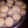 El cooksnap de eugenia viudez cuando hizo Alfajores de Maicena.