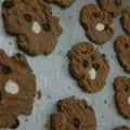 Cooksnap dari Nabilla Afasya untuk resep Biskuit coklat / coklat chocochips cookies