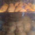 El cooksnap de María Mikaela Rivero Hernández cuando hizo EMPANADAS DE CARNE PICADA BIEN JUGOSAS con masa casera 🥟 🥩.