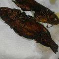 Parlenmoon's cooksnap of when they made Spicy Fish Fry.