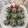 Cooksnap dari Mayadewi Syapriani untuk resep Bolu kukus ubi ungu