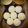 Neha Dua's cooksnap of when they made Rava idli sambhar chutney.