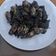 Cooksnap dari Tri Mantikailham untuk resep Tumis cumi hitam pedas