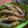 Cooksnap dari niningctm untuk resep Ikan Layang Goreng Tepung