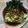 Cooksnap dari Lia Firmansyah untuk resep Pakcoy/sawi sendok