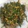 Cooksnap dari Dapur Cipy untuk resep Masak ikan kembung tauco cabe ijo