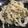 Cooksnap dari gustria rahayu untuk resep Spaghetti Alfredo