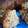 El cooksnap de Carolina Matonte cuando hizo Torta de banana avena y semillas.