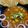 Vidhi V Popat's cooksnap of when they made છોલે ભટુરે(Chole Bhature Recipe In Gujarati).