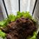 Cooksnap dari dewi untuk resep Nasi Bebek bumbu hitam ala madura