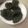El cooksnap de Ines Shinya cuando hizo Bocadillos de acelga o espinacas light.