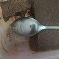 Cooksnap dari wulan untuk resep Es krim enak anti ribet