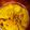 Winnie Kulumba's cooksnap of when they made Pumpkin chapati.