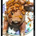 Cooksnap dari Muhammad Imaduddin Siregar untuk resep Ayam Rebus Chatonnese. Pecamke