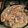 El cooksnap de hariana cuando hizo Trucha a la Patagónica.