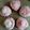 Nidhi Popat's cooksnap of when they made ચોકલેટ મફીન્સ (Chocolate muffins recipe in gujarati).