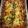 Quincy Crowley's cooksnap of when they made Yummy Yummy Lasagna Rolls.