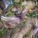 Cooksnap dari Utami untuk resep Kepala ayam Jamur Kancing Kuah Kecap