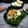 Cooksnap dari Hadleny Kitchen untuk resep Pecel Pincuk