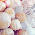 صورة من طيف، شاركها بعد تجربة وصفة طريقة عمل كعك ومعمول العيد