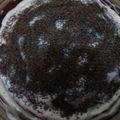 صورة من Nadia El Khatib( زينب وملاك وهبه بكن القلب ينبض)، شاركها بعد تجربة وصفة Brownie