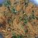 Cooksnap dari Dini Harsely untuk resep Bihun Goreng Pedas
