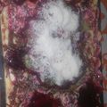 El cooksnap de Priscilla Soto cuando hizo Tartaleta de frutas.