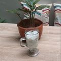 Cooksnap dari Ratu untuk resep Es Snow White
