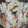 Cooksnap dari Yunita Vebriani untuk resep Nasi Goreng Putih (Hongkong)