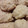 El cooksnap de 💕Andrea 💕 cuando hizo Galletitas de coco sin azúcar.