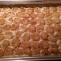 Katie's cooksnap of when they made Beef Strogan-tot Hot dish.