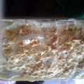 Sean's cooksnap of when they made Extra Rich Banana Pudding.
