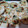 El cooksnap de evelyn cuando hizo Canastitas de acelga, salsa blanca y queso.