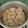 Cooksnap dari Ituk Sari untuk resep Siomay Ayam Udang