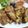 Cooksnap dari Aisah Food factory untuk resep Ayam Goreng Telur Praktis