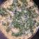 Ruta Majithiya's cooksnap of when they made ખમણ.